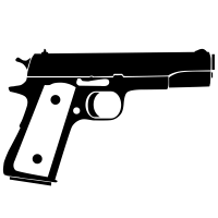 gun